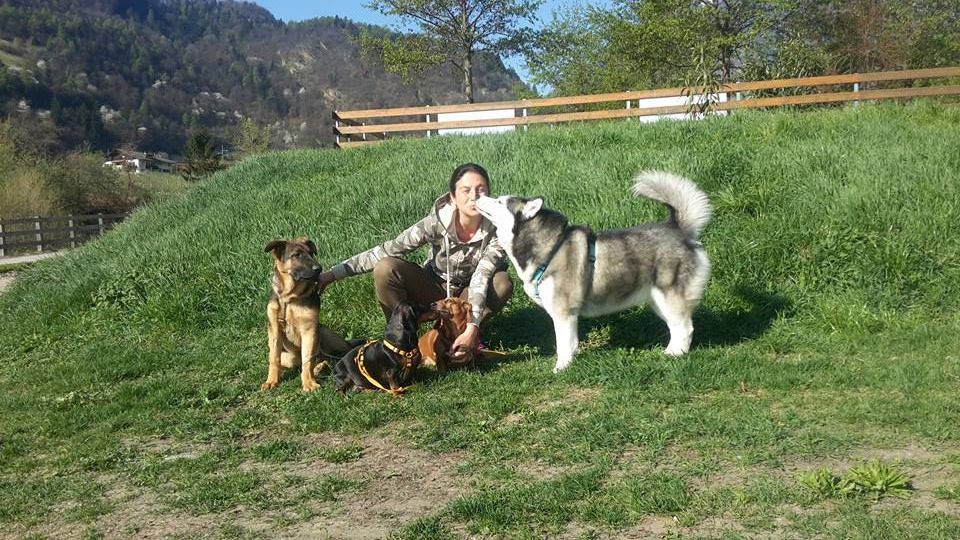 Puppy & Pet Sitter